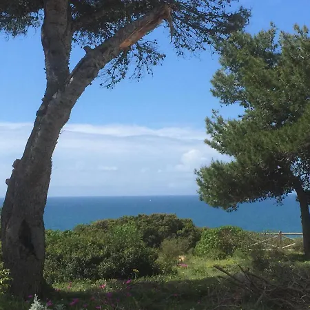 Carvoeiro Sol Seafront Apartment *