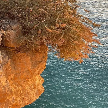 Carvoeiro Sol Seafront