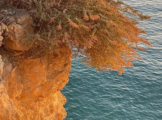 Sol Seafront